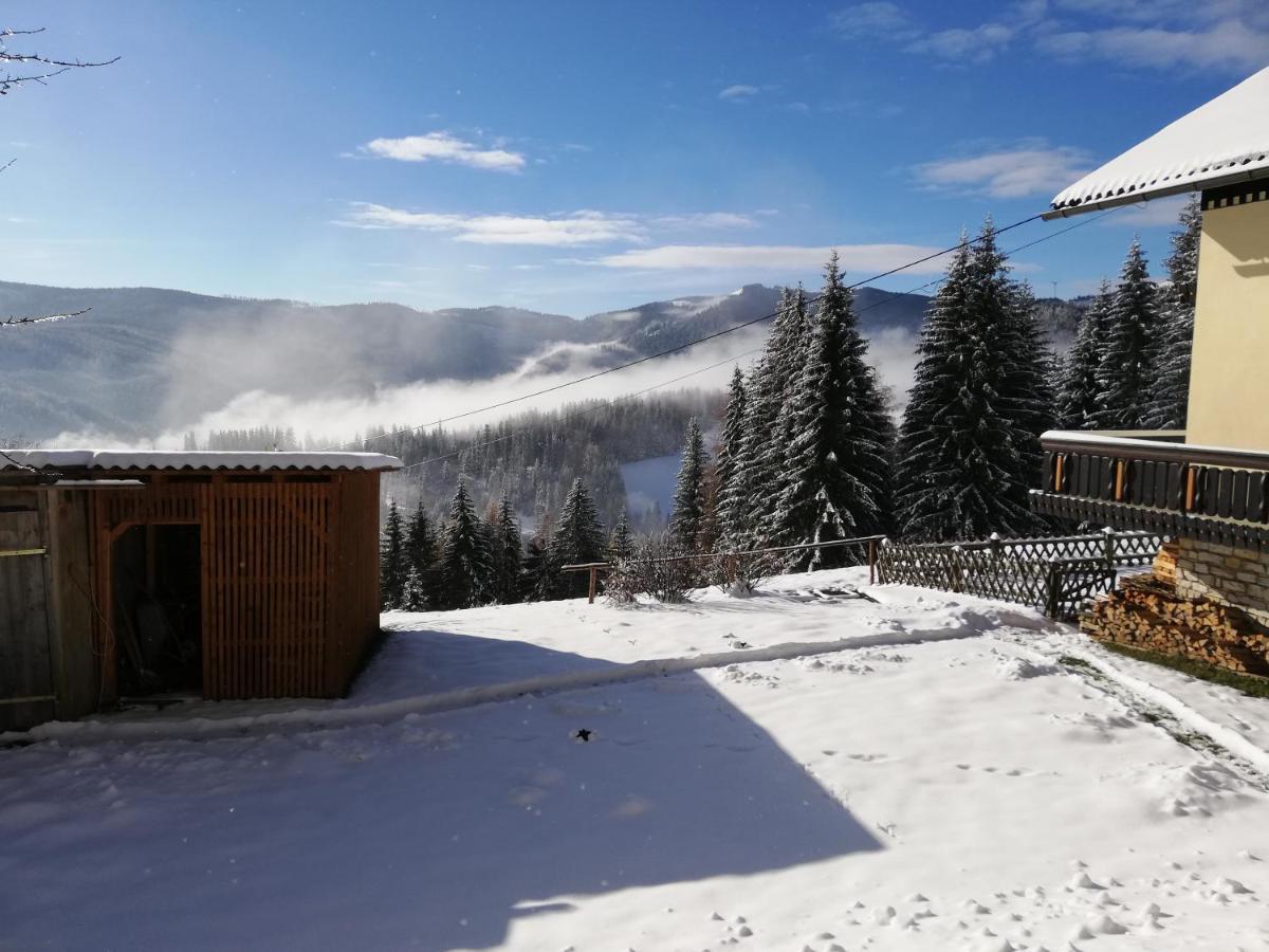Villa Ferienhaus Stubalpenblick Salla Exterior foto