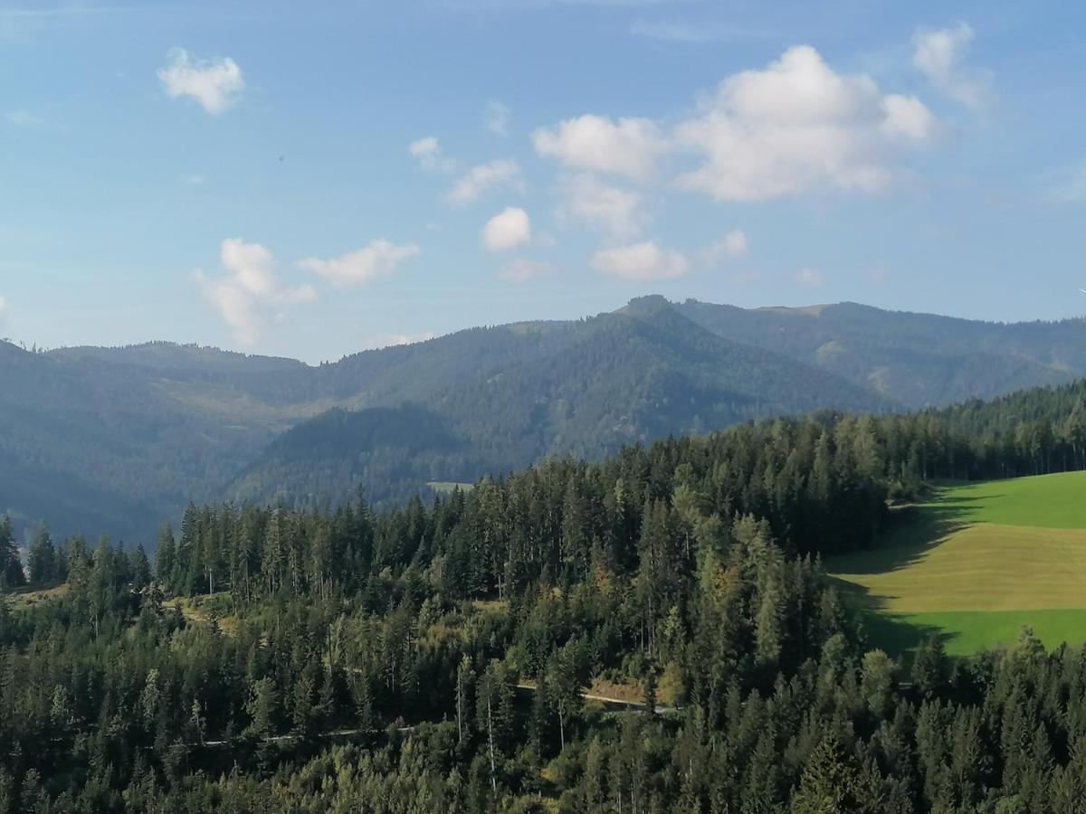 Villa Ferienhaus Stubalpenblick Salla Exterior foto